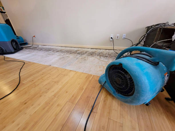 Professional Burst Pipe Water Damage technician working in Coronado, CA
